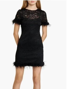 Wayf Black Lace Mini Dress with Feather Trim